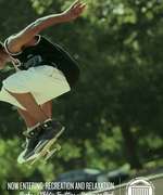 Skate Board
